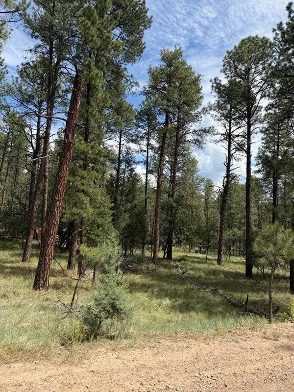 Homewood Dr, Timberon, NM 88350