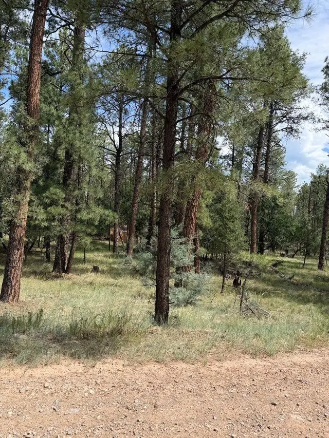 Homewood Dr, Timberon, NM 88350 - #2