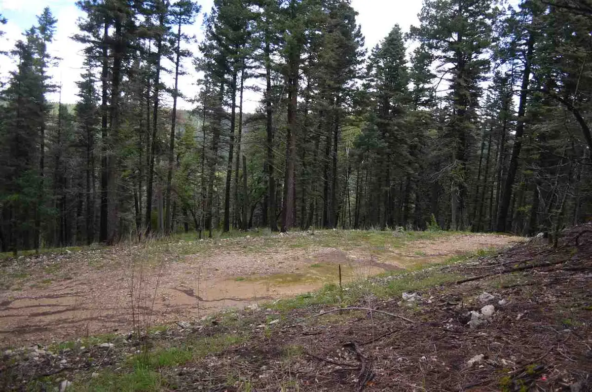 40 41 42 Elk Ridge, Cloudcroft, NM 88317 - #1