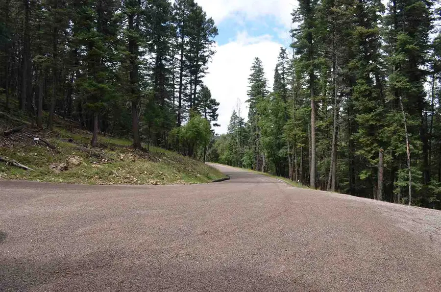40 41 42 Elk Ridge, Cloudcroft, NM 88317 - #3