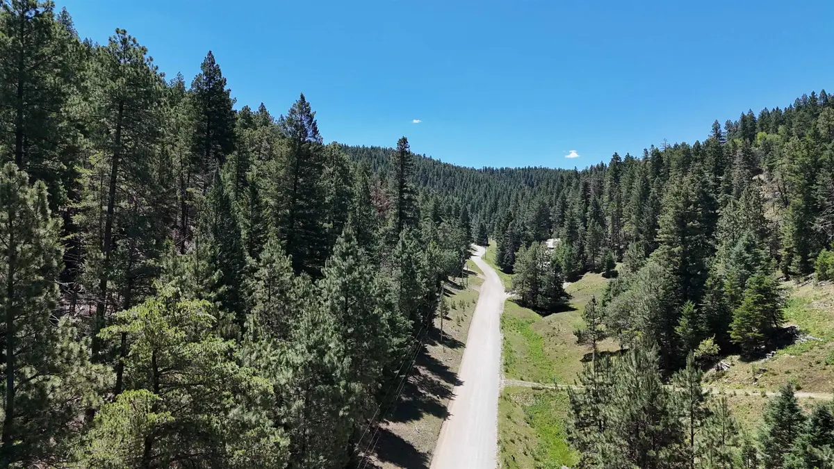 121 Young Canyon Rd, Southeast Otero, NM 33317 - #1