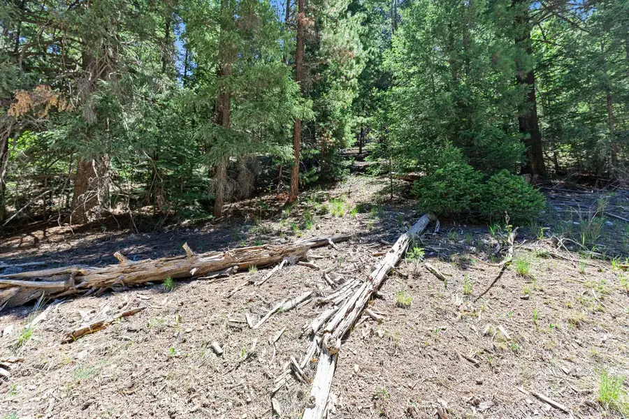 121 Young Canyon Rd, Southeast Otero, NM 33317 - #2