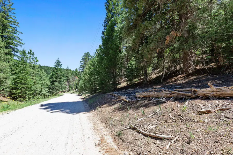 121 Young Canyon Rd, Southeast Otero, NM 33317 - #3