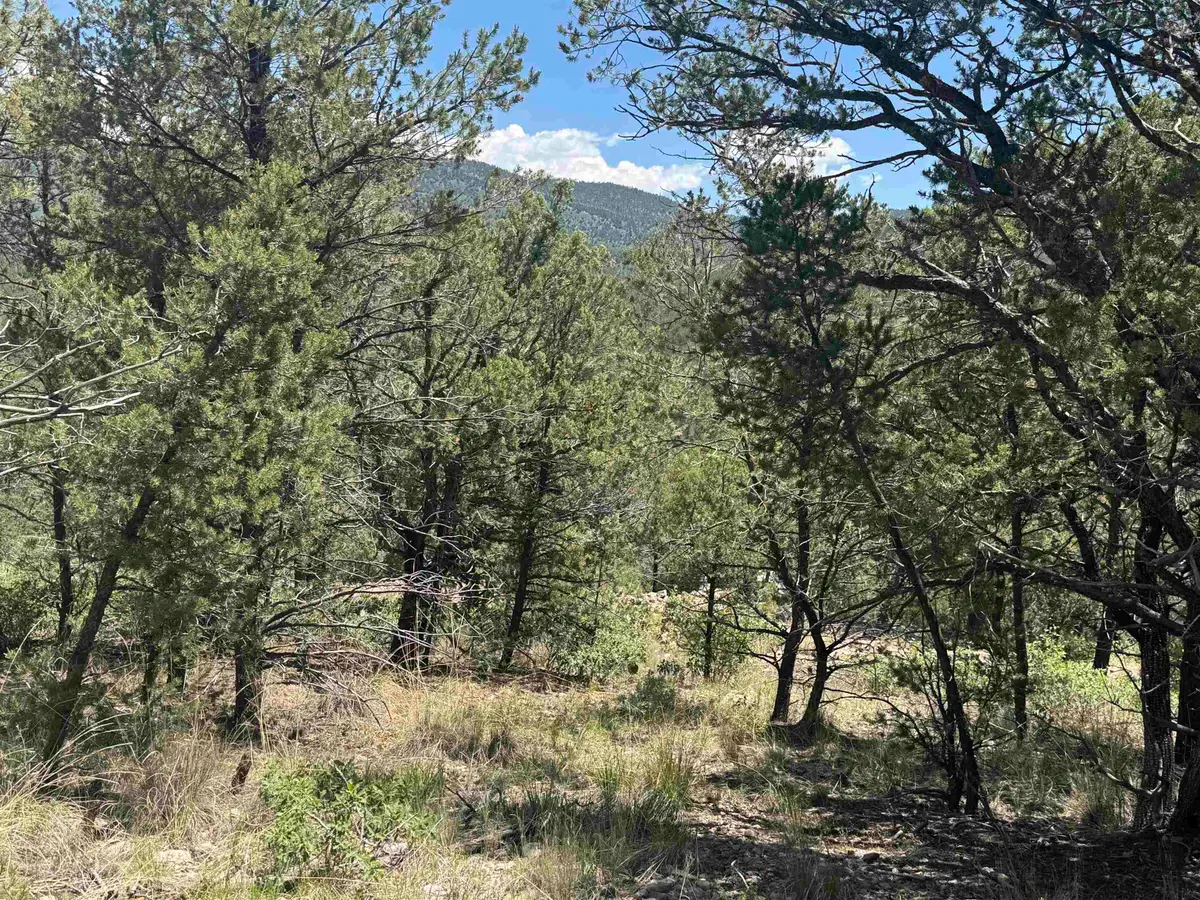 Coleridge DR, Timberon, NM 88350-0000 - #1