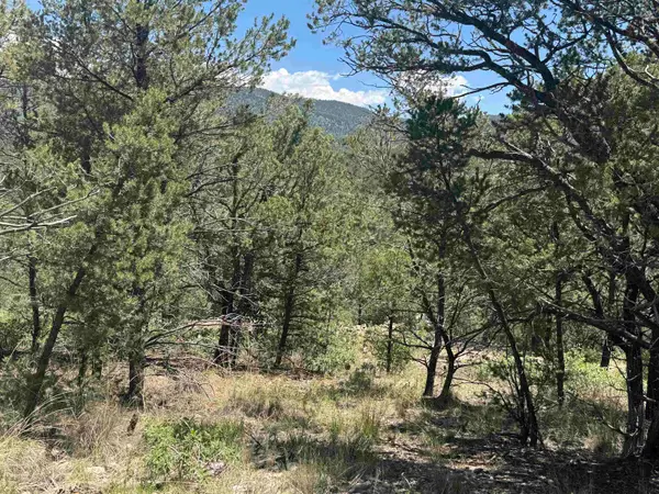 Coleridge DR, Timberon, NM 88350-0000