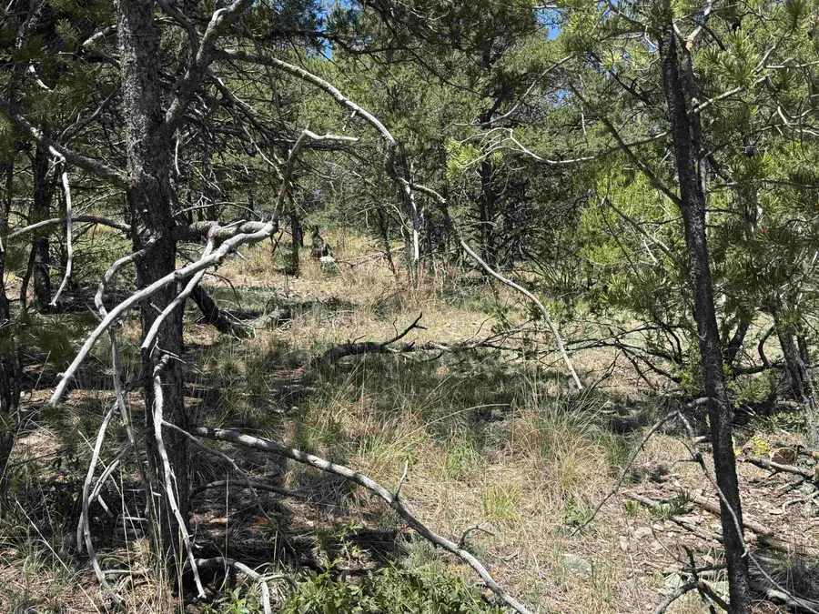 Coleridge DR, Timberon, NM 88350-0000 - #2