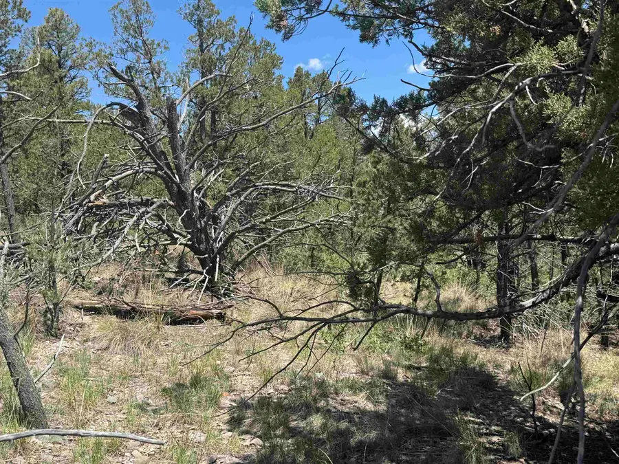 Coleridge DR, Timberon, NM 88350-0000 - #3