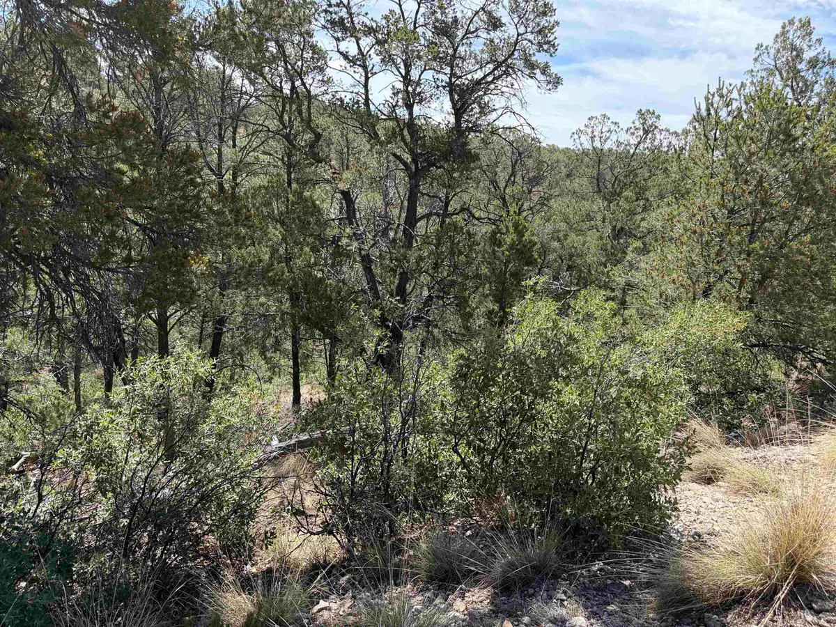 11 Bacon Dr, Timberon, NM 88350 - #1