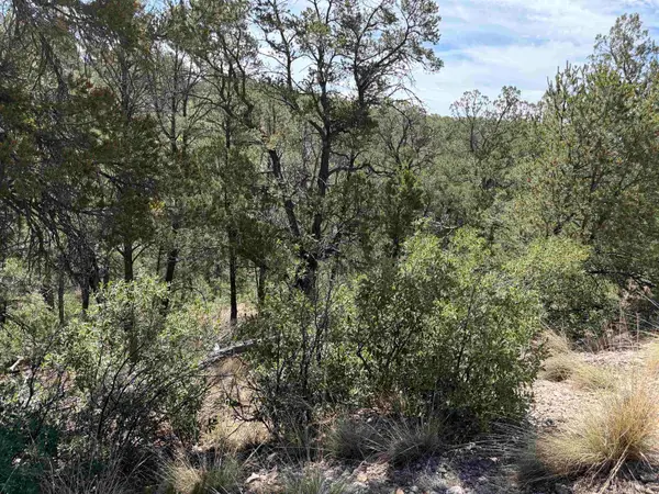 11 Bacon Dr, Timberon, NM 88350