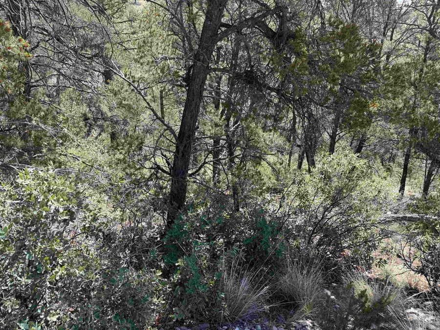 11 Bacon Dr, Timberon, NM 88350 - #3
