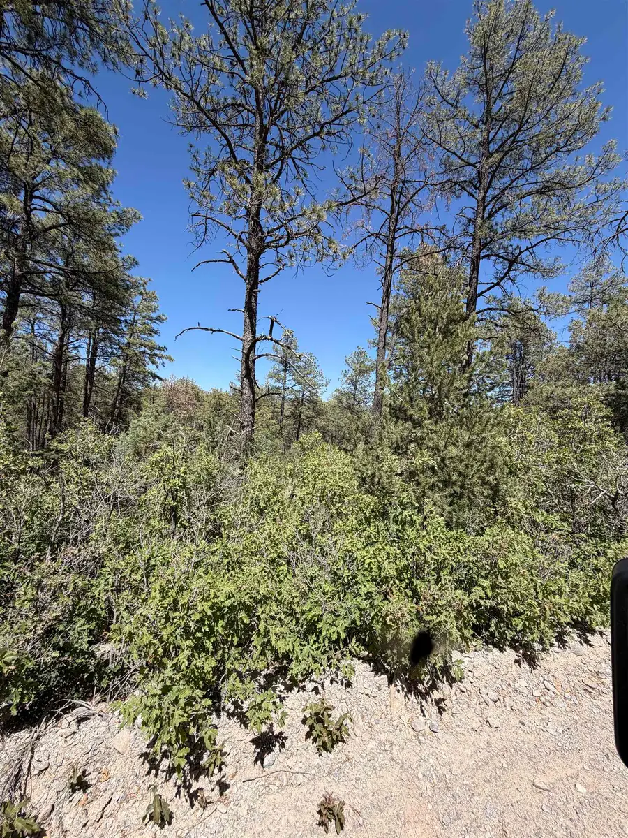 429 Dixwood DR, Timberon, NM 88350 - #2