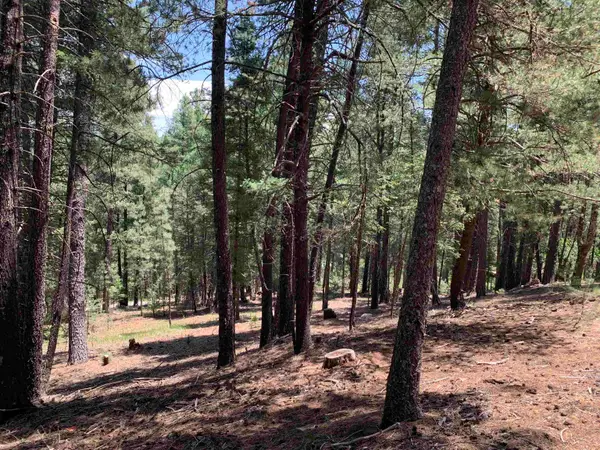 7 Timber Wolf, Mayhill, NM 88339