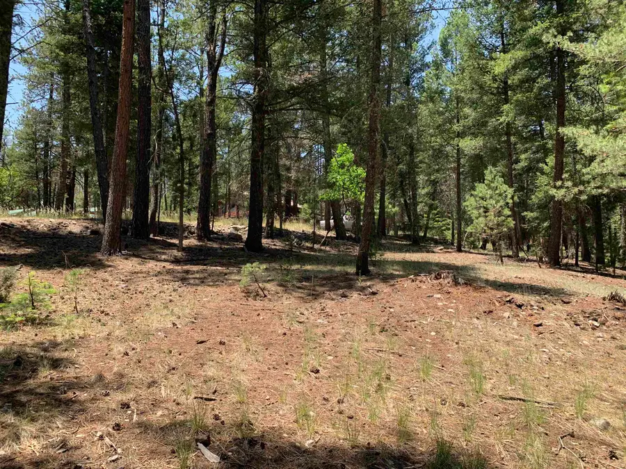 7 Timber Wolf, Mayhill, NM 88339 - #2