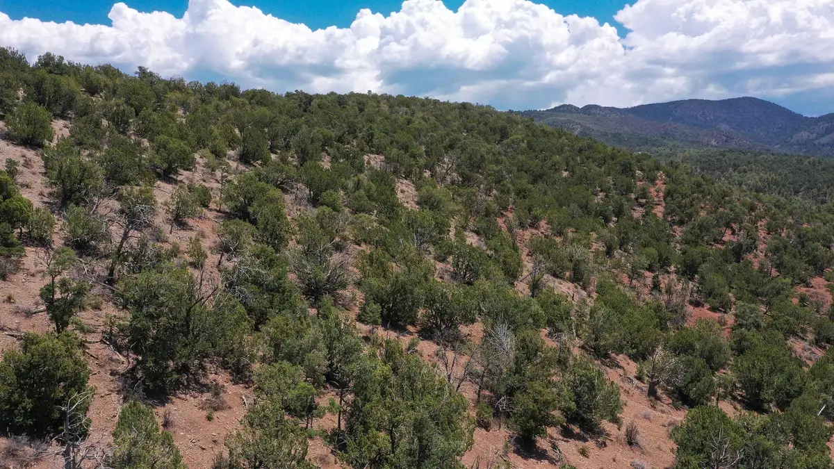 00 Deer Haven RD, High Rolls Mountain Park, NM 88325 - #1