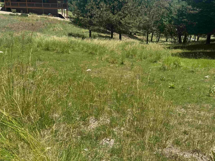 Maverick, Cloudcroft, NM 88317-0000 - #2