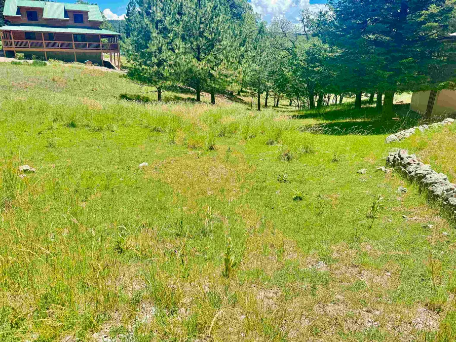 Maverick, Cloudcroft, NM 88317-0000 - #3