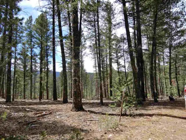 Lot 3 Pinos Verdes, Cloudcroft, NM 88317