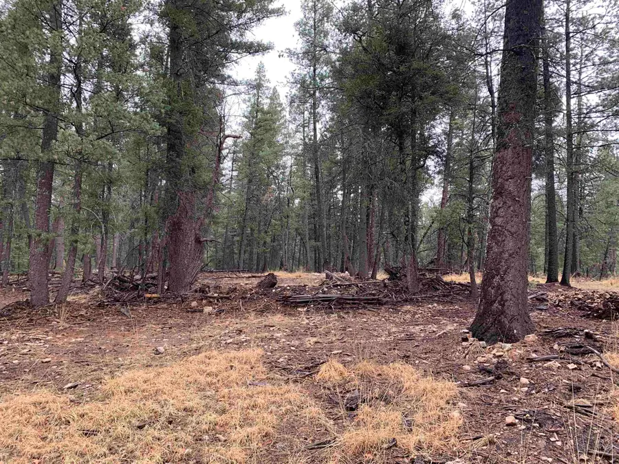 Lot 3 Pinos Verdes, Cloudcroft, NM 88317 - #2