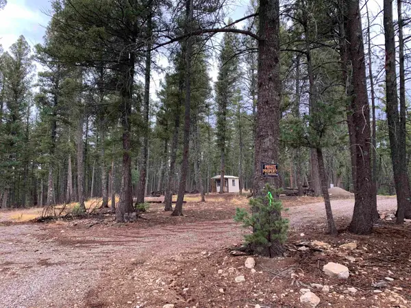 Lot 5 Pinos Verdes, Cloudcroft, NM 88317