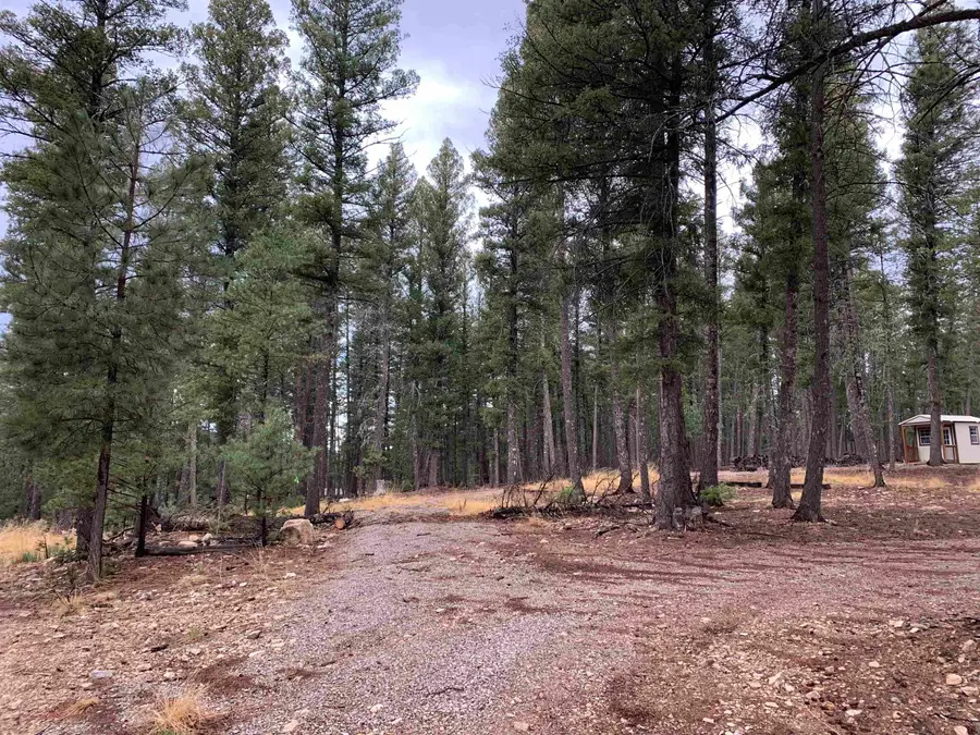Lot 5 Pinos Verdes, Cloudcroft, NM 88317 - #2