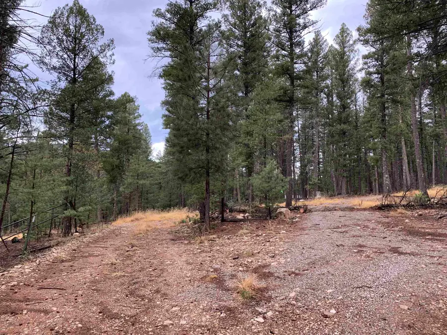 Lot 5 Pinos Verdes, Cloudcroft, NM 88317 - #3