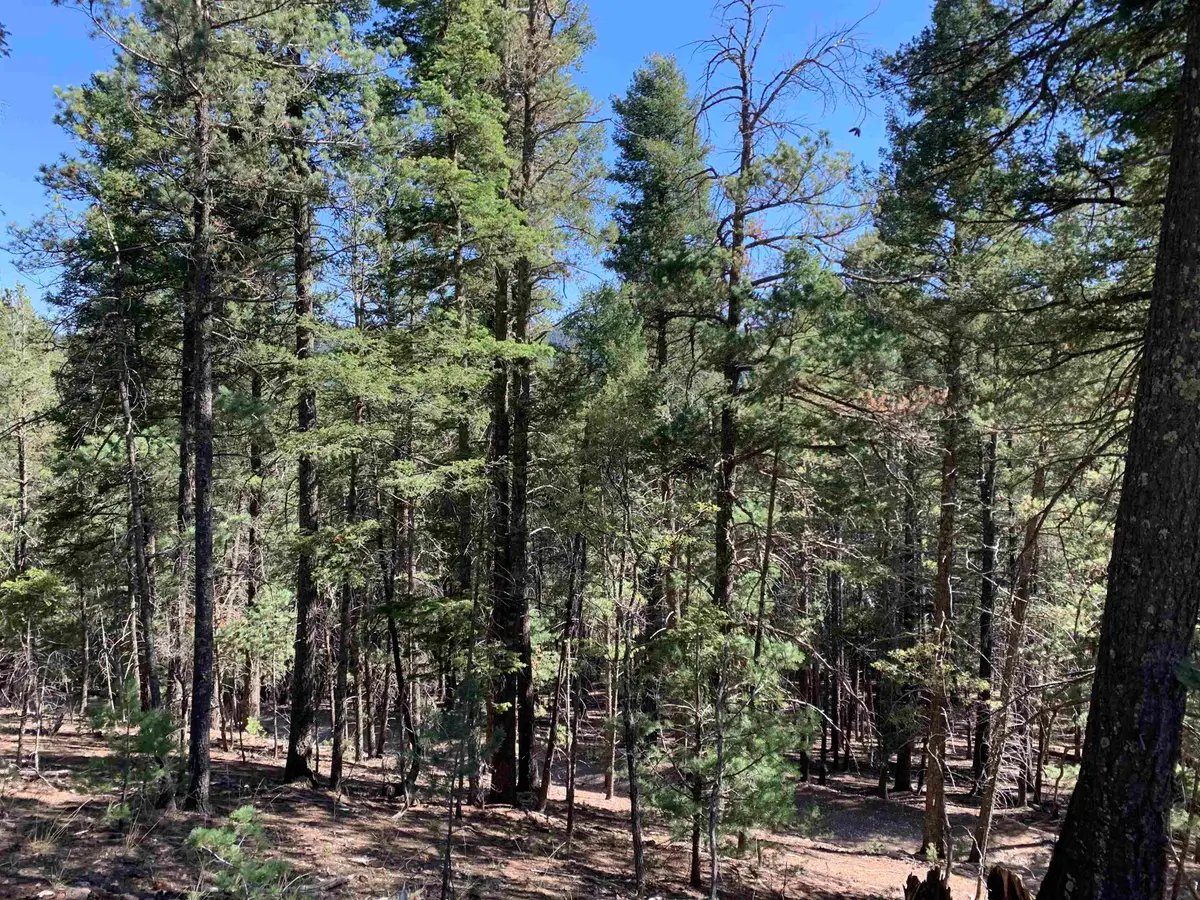 79 Lodge Spring Rd, Cloudcroft, NM 88317 - #1