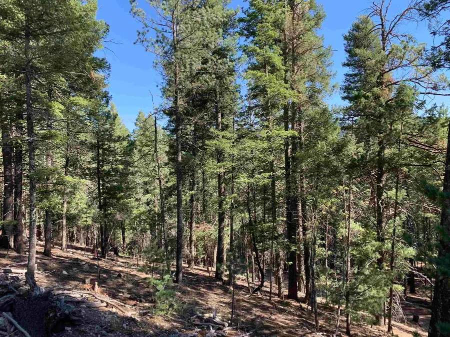79 Lodge Spring Rd, Cloudcroft, NM 88317 - #2