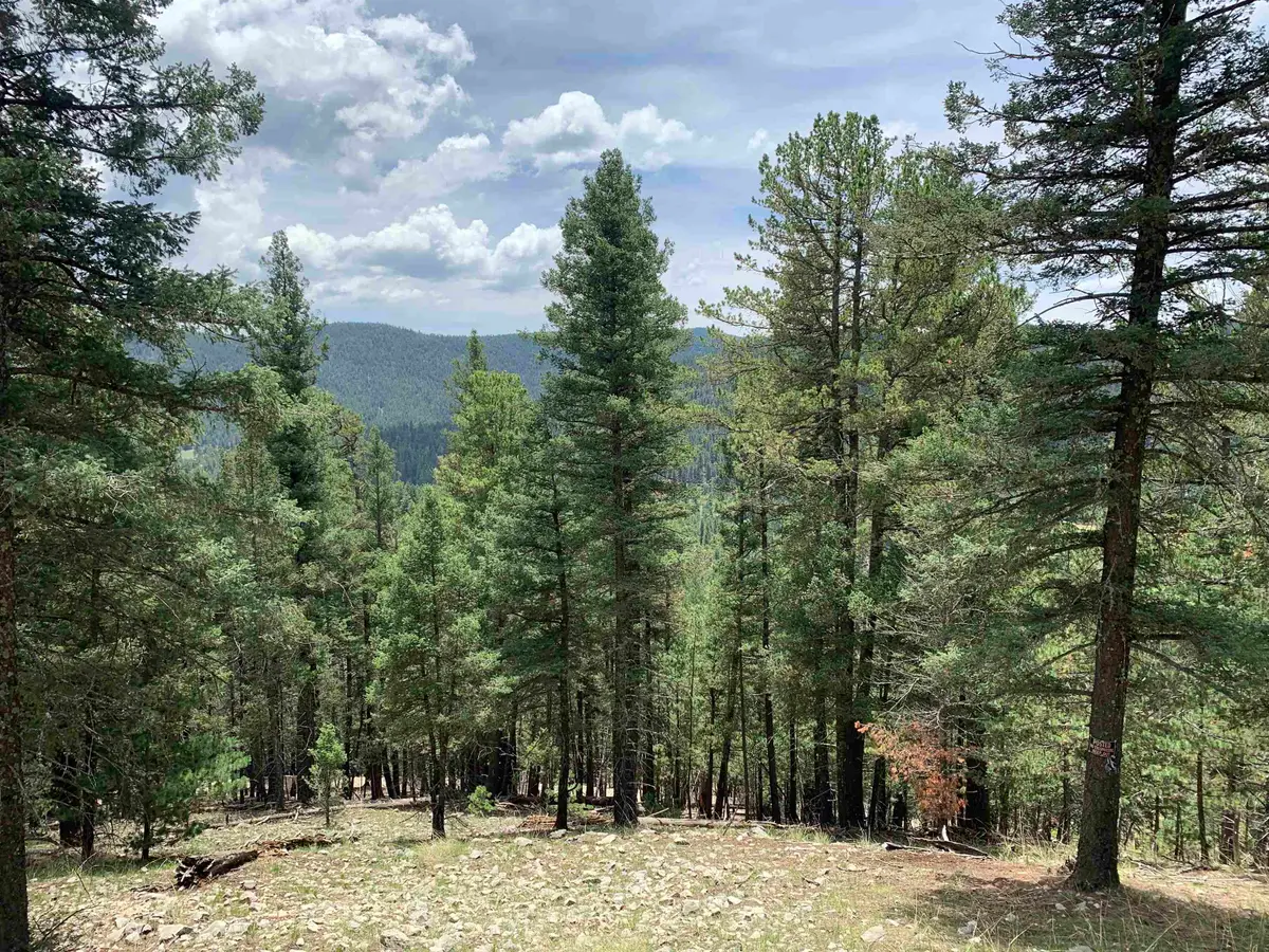 55 Forest View Rd, Cloudcroft, NM 88317 - #1