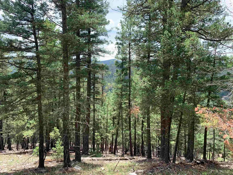 55 Forest View Rd, Cloudcroft, NM 88317 - #2