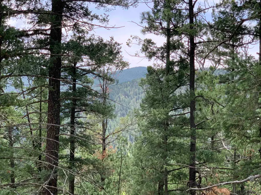 55 Forest View Rd, Cloudcroft, NM 88317 - #3