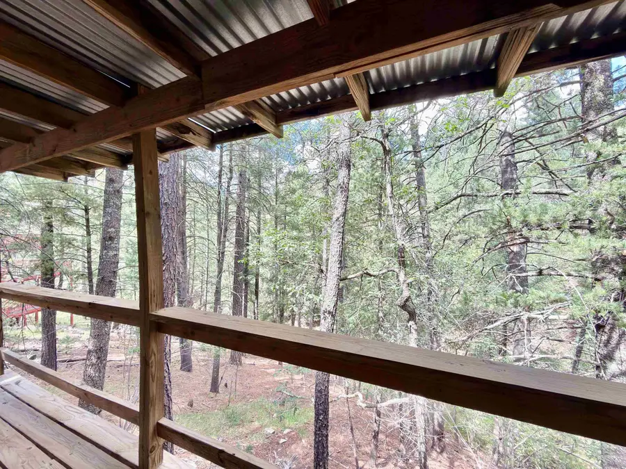 36 Mystery Path, Cloudcroft, NM 88317 - #3