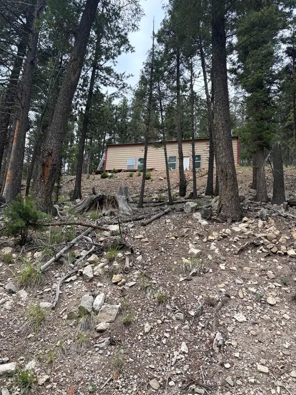 67 Forest View Rd, Cloudcroft, NM 88317-0000