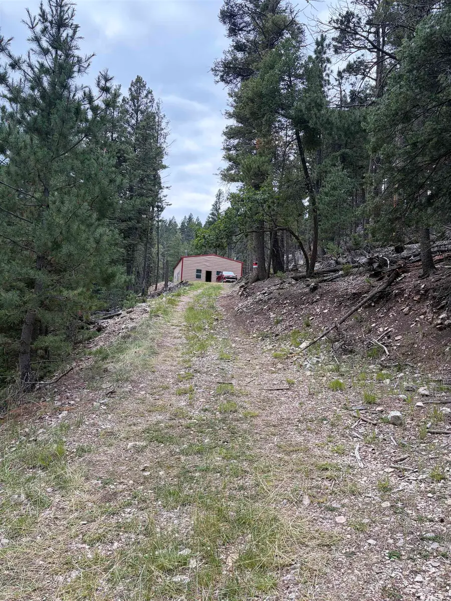 67 Forest View Rd, Cloudcroft, NM 88317-0000 - #2