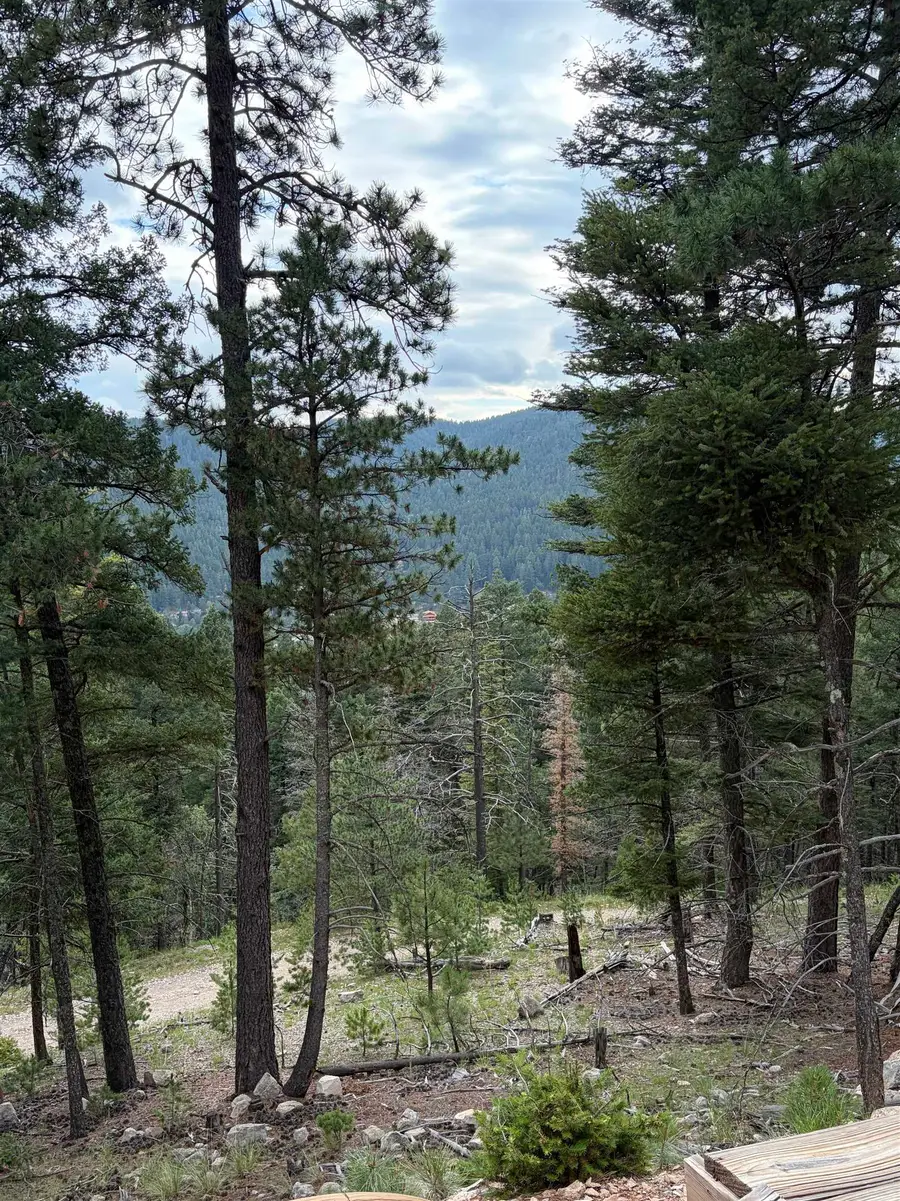 67 Forest View Rd, Cloudcroft, NM 88317-0000 - #3