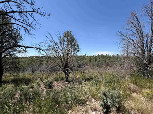 29 Movac Loop, Timberon, NM 88350