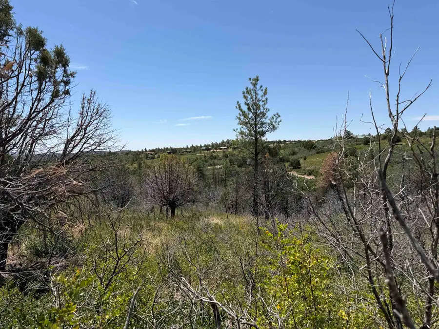 29 Movac Loop, Timberon, NM 88350 - #2