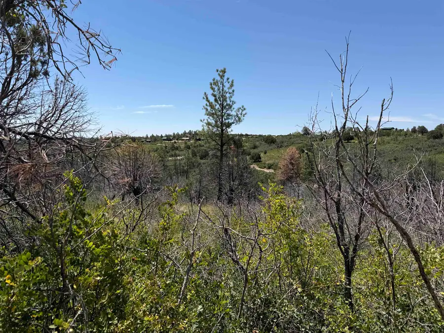 29 Movac Loop, Timberon, NM 88350 - #3