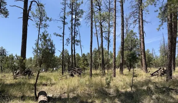 82 Paradise Valley Dr, Timberon, NM 88350