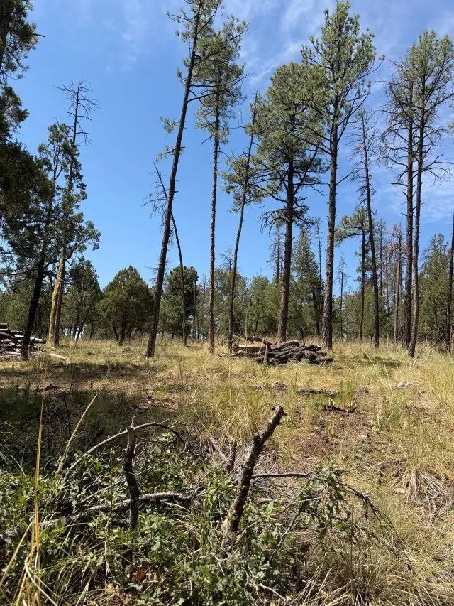 82 Paradise Valley Dr, Timberon, NM 88350 - #2