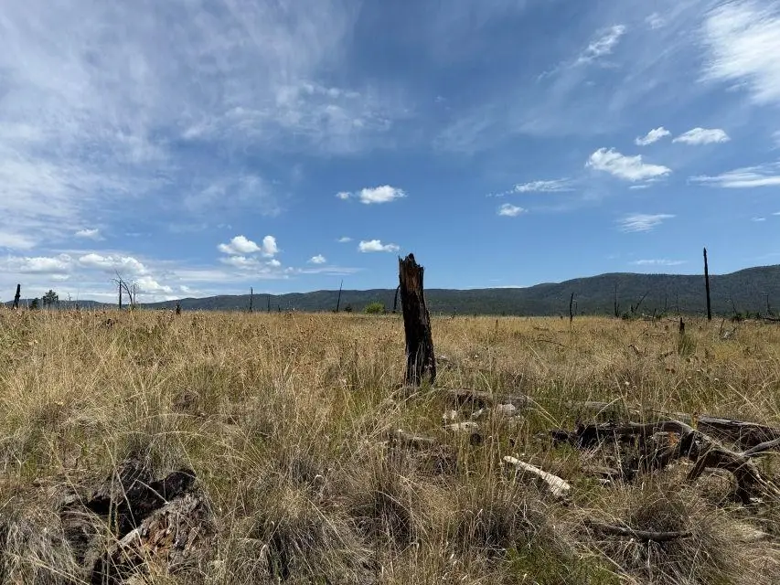 11 Tokatee Ct, Timberon, NM 88350 - #1