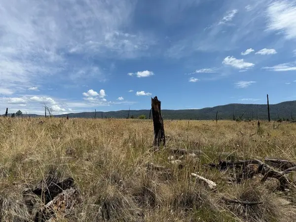 11 Tokatee Ct, Timberon, NM 88350