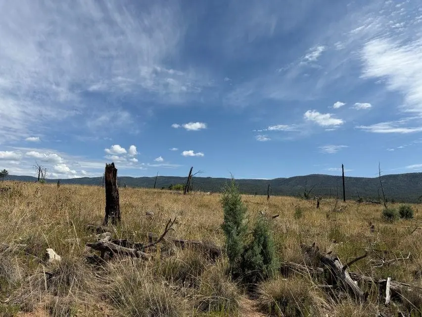 11 Tokatee Ct, Timberon, NM 88350 - #2