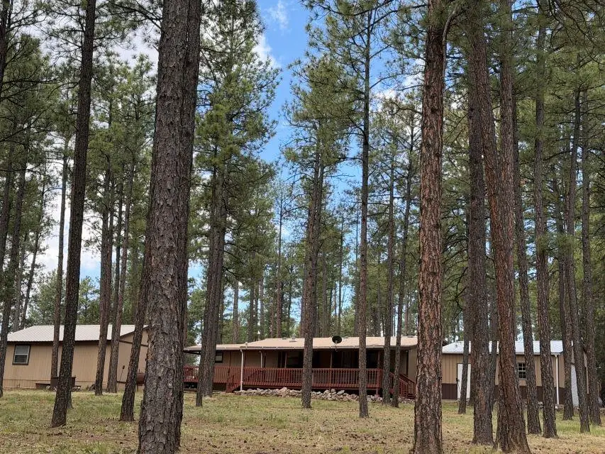 31 Dixwood DR, Timberon, NM 88350 - #1