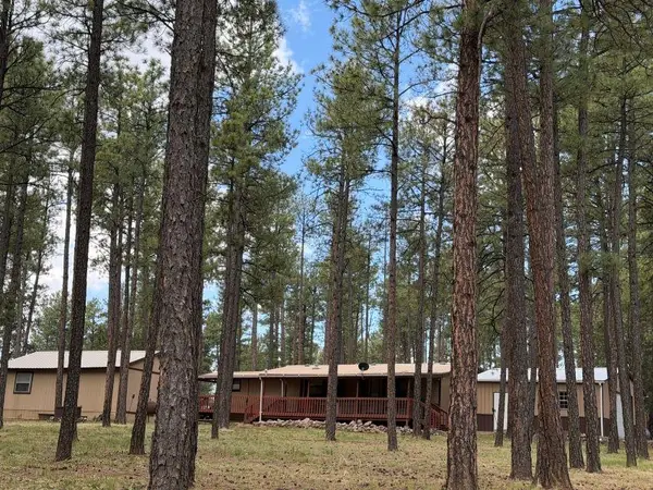 31 Dixwood DR, Timberon, NM 88350