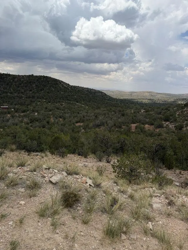 Mountainaire Dr, Timberon, NM 88350 - #1