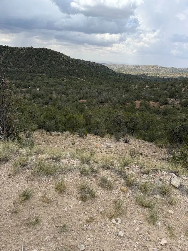 Mountainaire Dr, Timberon, NM 88350 - #3