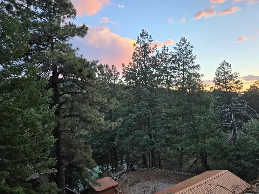 17 Skyline Trl, High Rolls Mountain Park, NM 88325 - #2