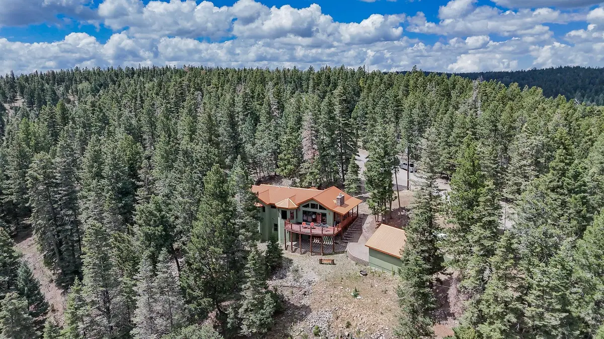 65 Big Dipper RD, Cloudcroft, NM 88317 - #1