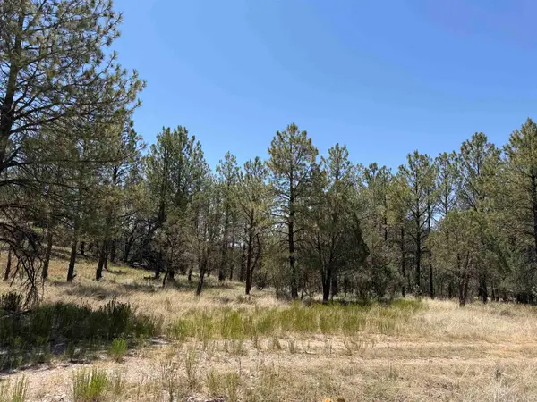 24 Edgewood Rd, Timberon, NM 88350