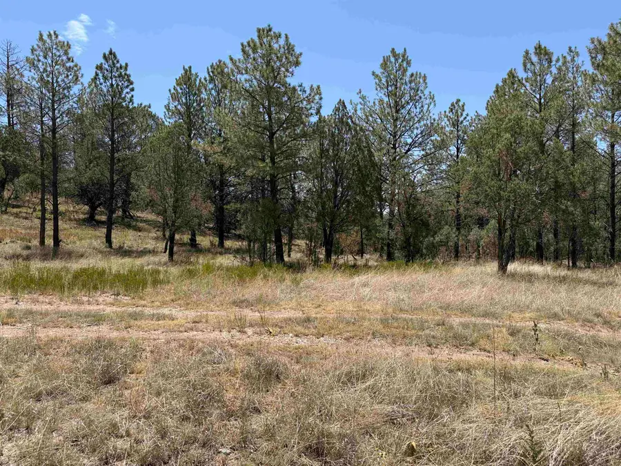 24 Edgewood Rd, Timberon, NM 88350 - #2